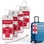 Cruise Ship Luggage Tag Holders Lazy Day Sea PVC Clear-0